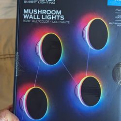 multicolored wall lights