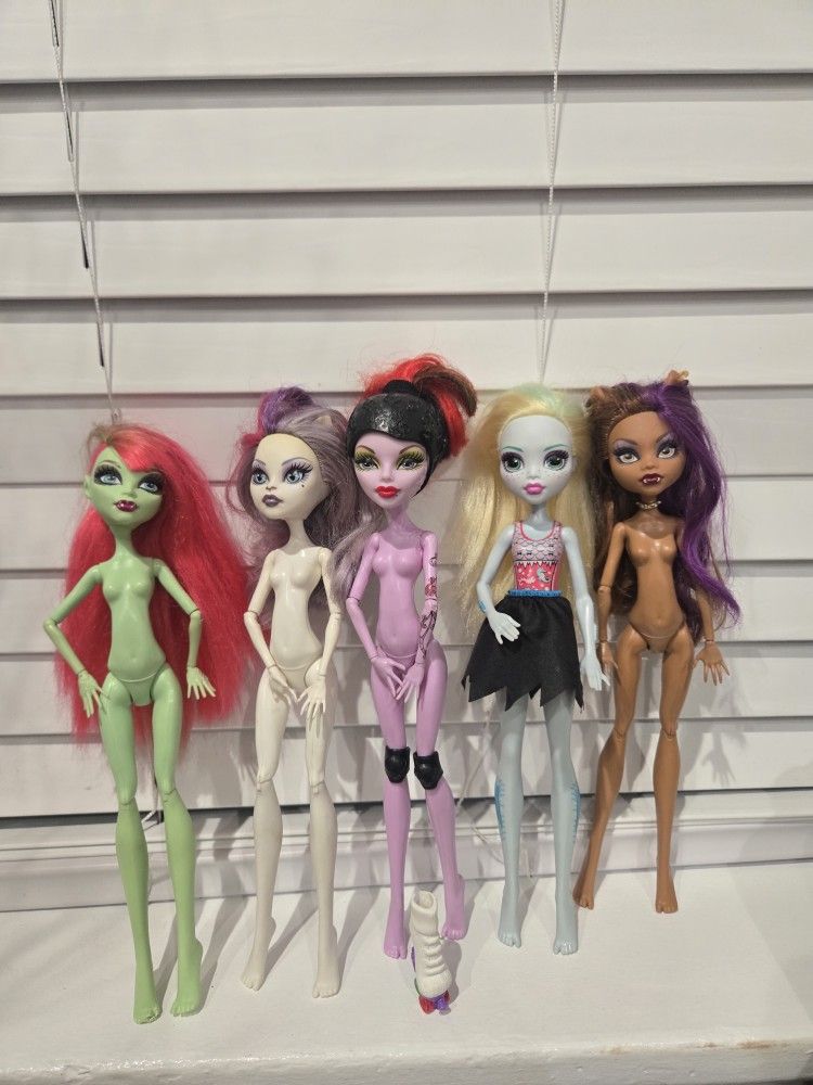 5 Monsterhigh Dolls