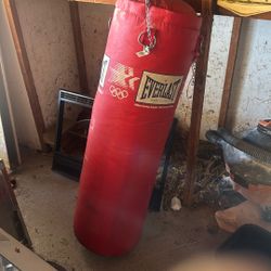 Punching Bag
