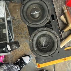 Skar Audio 8” Sub 