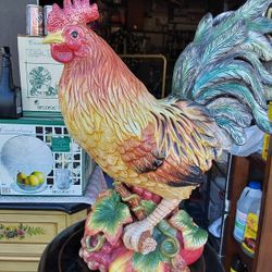 Fitz Ans Floyed Rooster