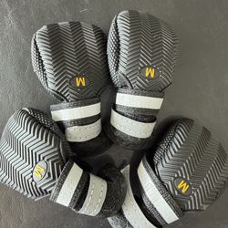  Dog Shoes 
