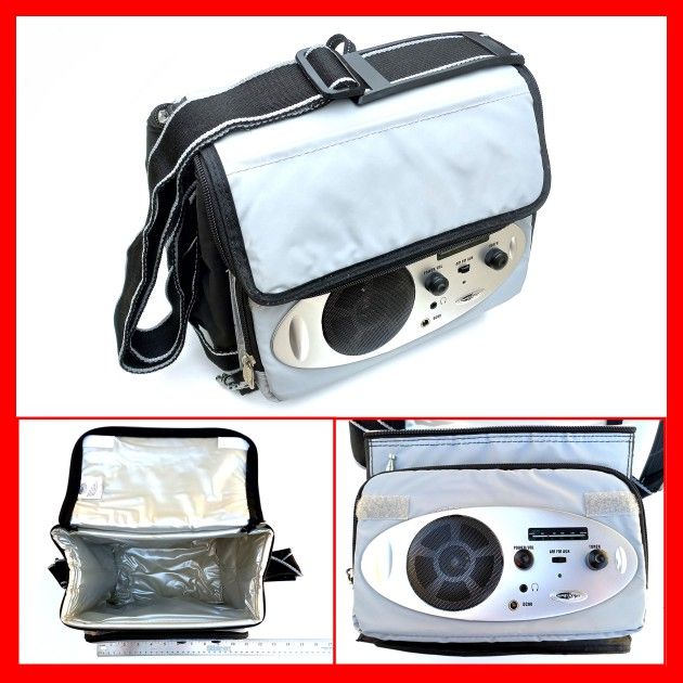 Portable Insulated Music Cooler Bag