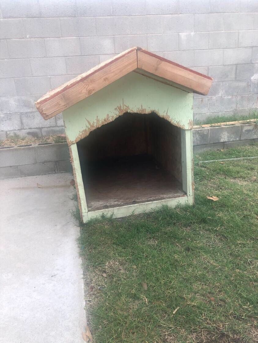 Dog House