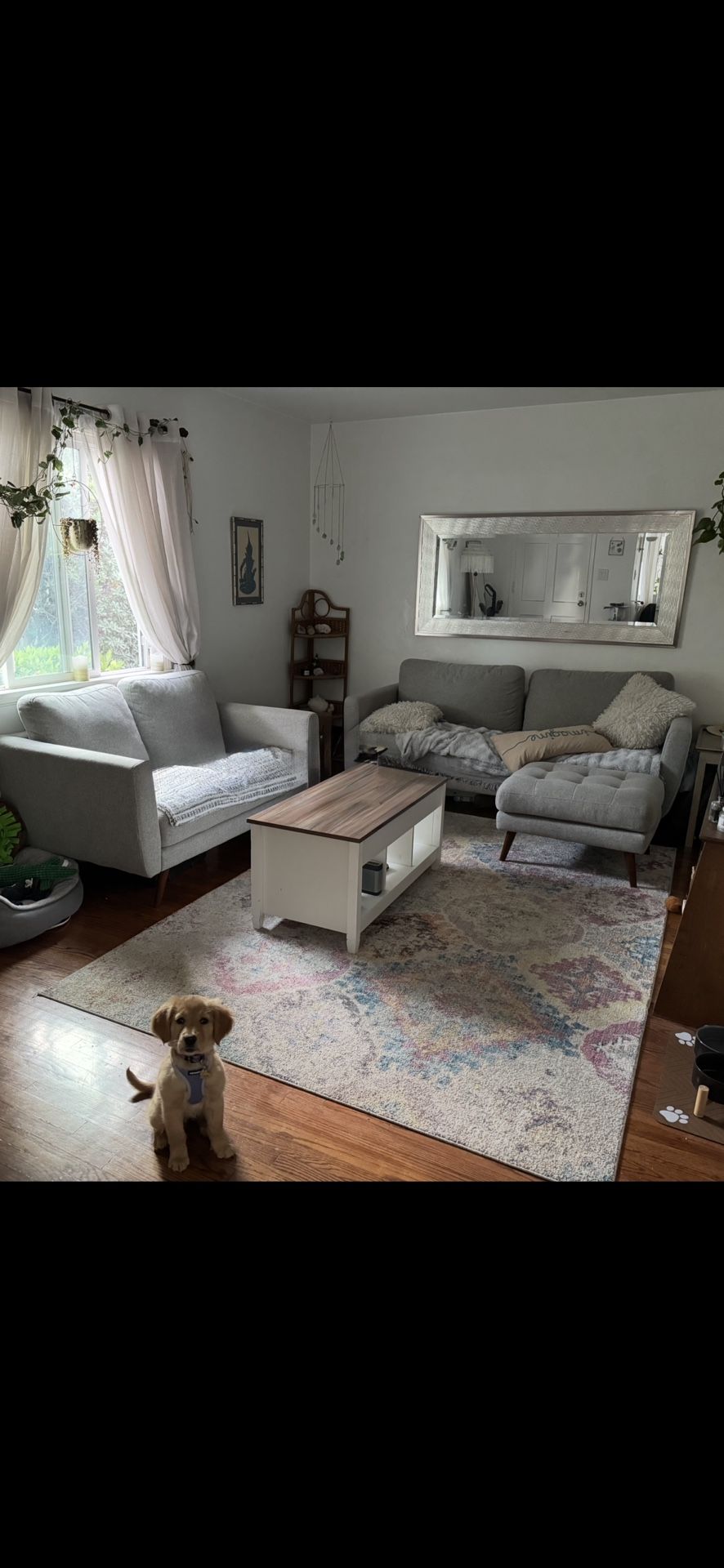 Couch, Loveseat, Coffee Table. University Heights Neighborhood.