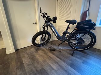 Electric Bike