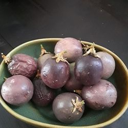 Passion Fruit 