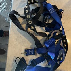 Safety Harness And Cable 