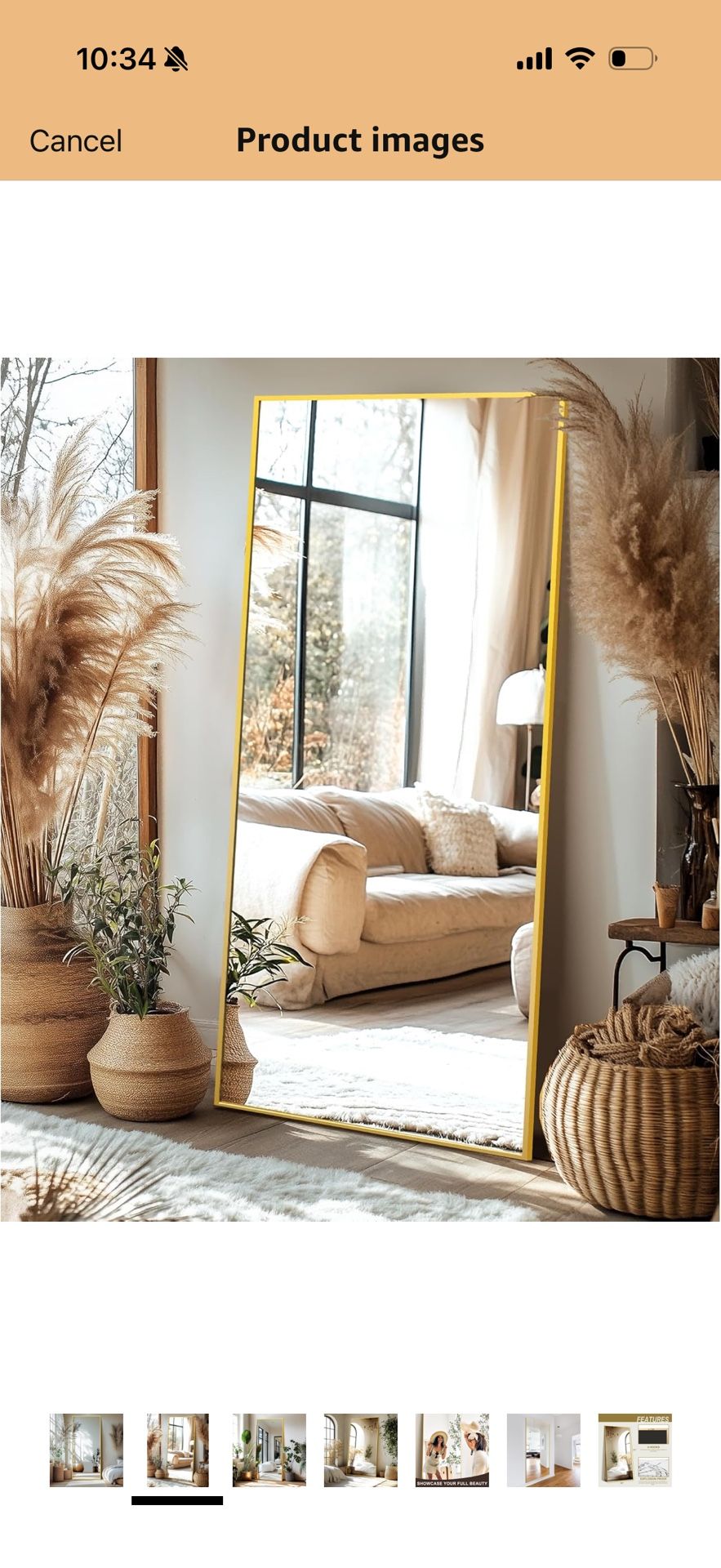 Full Length Mirror