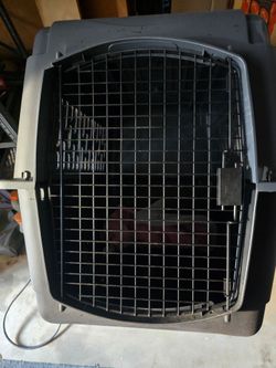 Two dog crates