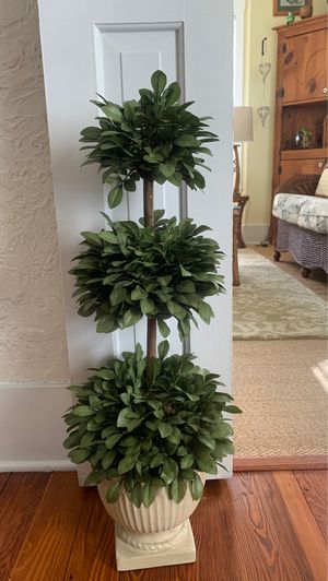 New And Used Topiary For Sale In Tampa Fl Offerup