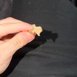 10k gold texas ring 