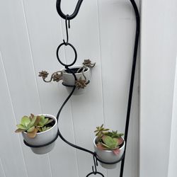 3 Ceramic Pots With Succulents Plants And Hangers 