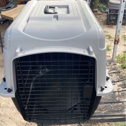 A Dog Carrying Crate