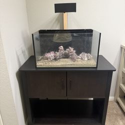 Innovative Marine Nuvo 20 With Stand And Hydra 26 Light