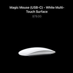 Apple Magic Mouse Multi Touch