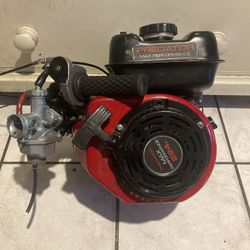 Predator 224cc