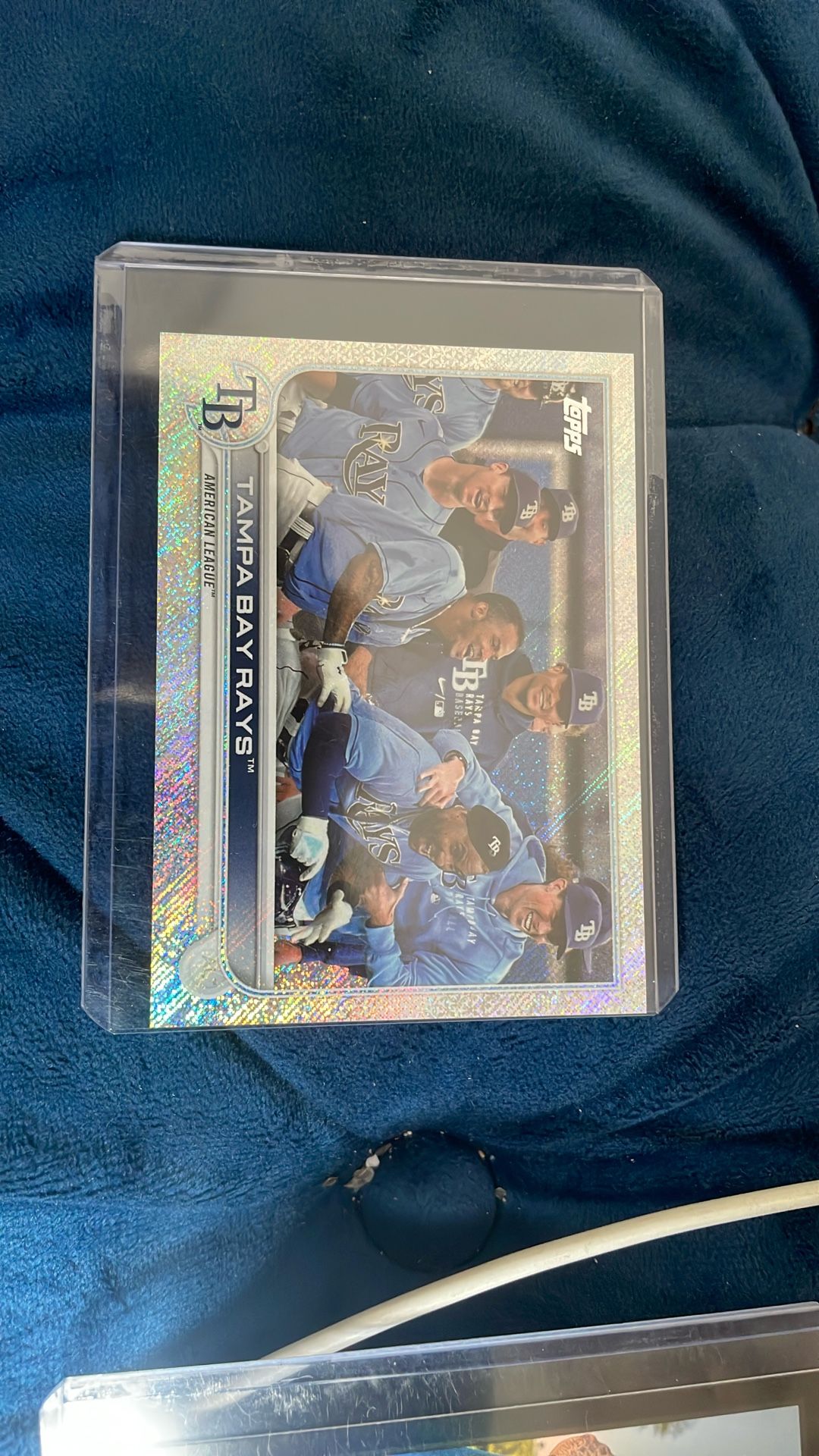 Tampa Bay Rays