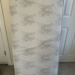 Serta Master Sleeper Dual-Sided Crib & Toddler Mattress – $40 OBO