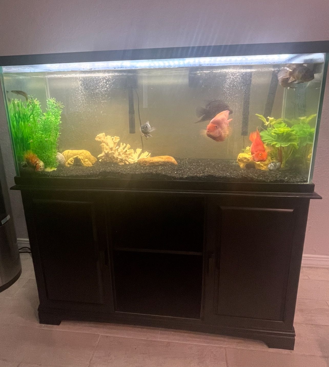 75 Gallons Fish Tank Including Table