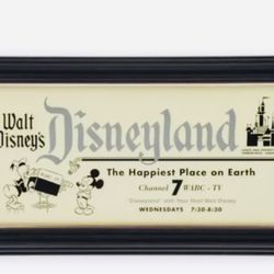Walt Disney's Disneyland Park Retro Eras 1950s Disney 100 Years Framed Wall Art New