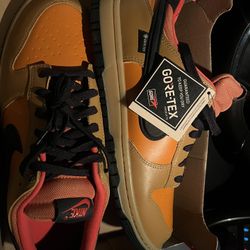 Nike Dunk Gore-Tex