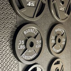 BRAND NEW Olympic  Weights Plates Set: 45s, 35s, 25s & 10s . Brute#230