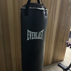Everlasting 70 Pound Heavy Bag