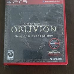 The Elder Scrolls 4: Oblivion