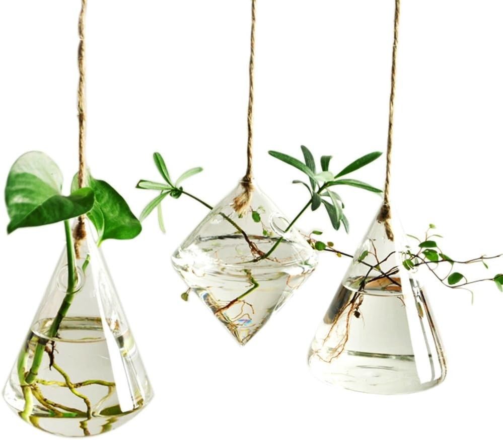 Terrarium Container Flower Planter Hanging Glass for Hydroponic Plants Home Garden Decor 3 Pack