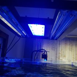 Radion G5 Blue  $700