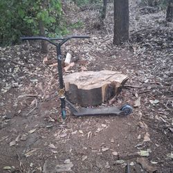 Trick/Stunt Scooter For Sale For Dirt Cheap!!