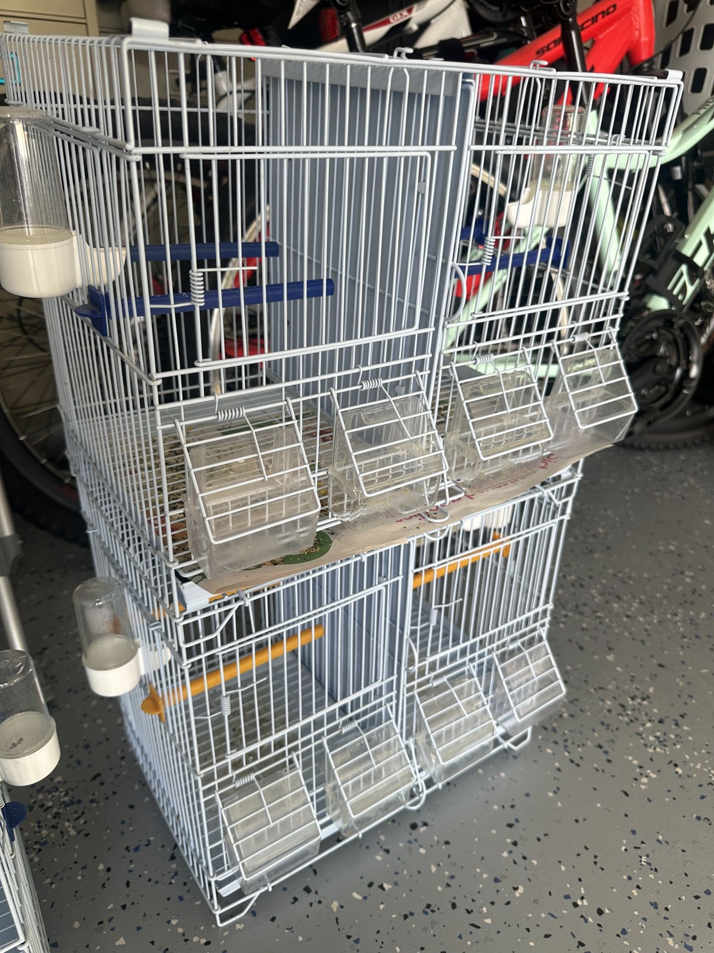 Bird Cage/canaries