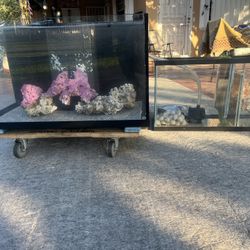 Fish Tank Aquarium Reef Tank 