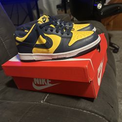 Nike dunks 