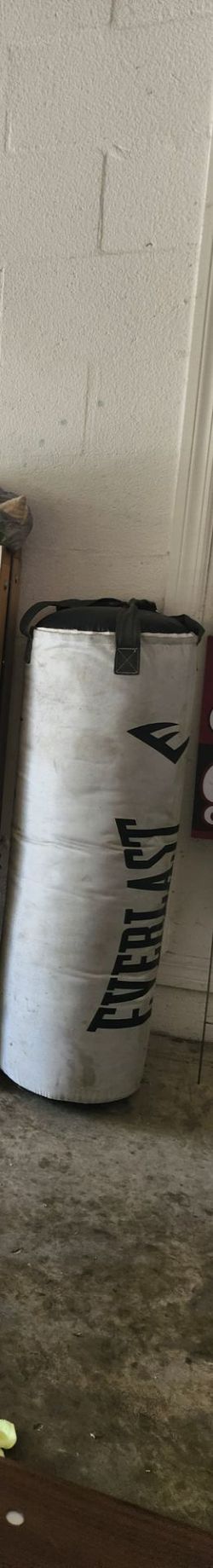 Weight/punching bag