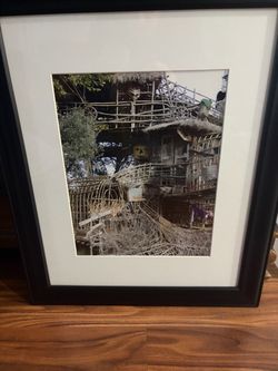 Framed Pictures ($25 a piece)