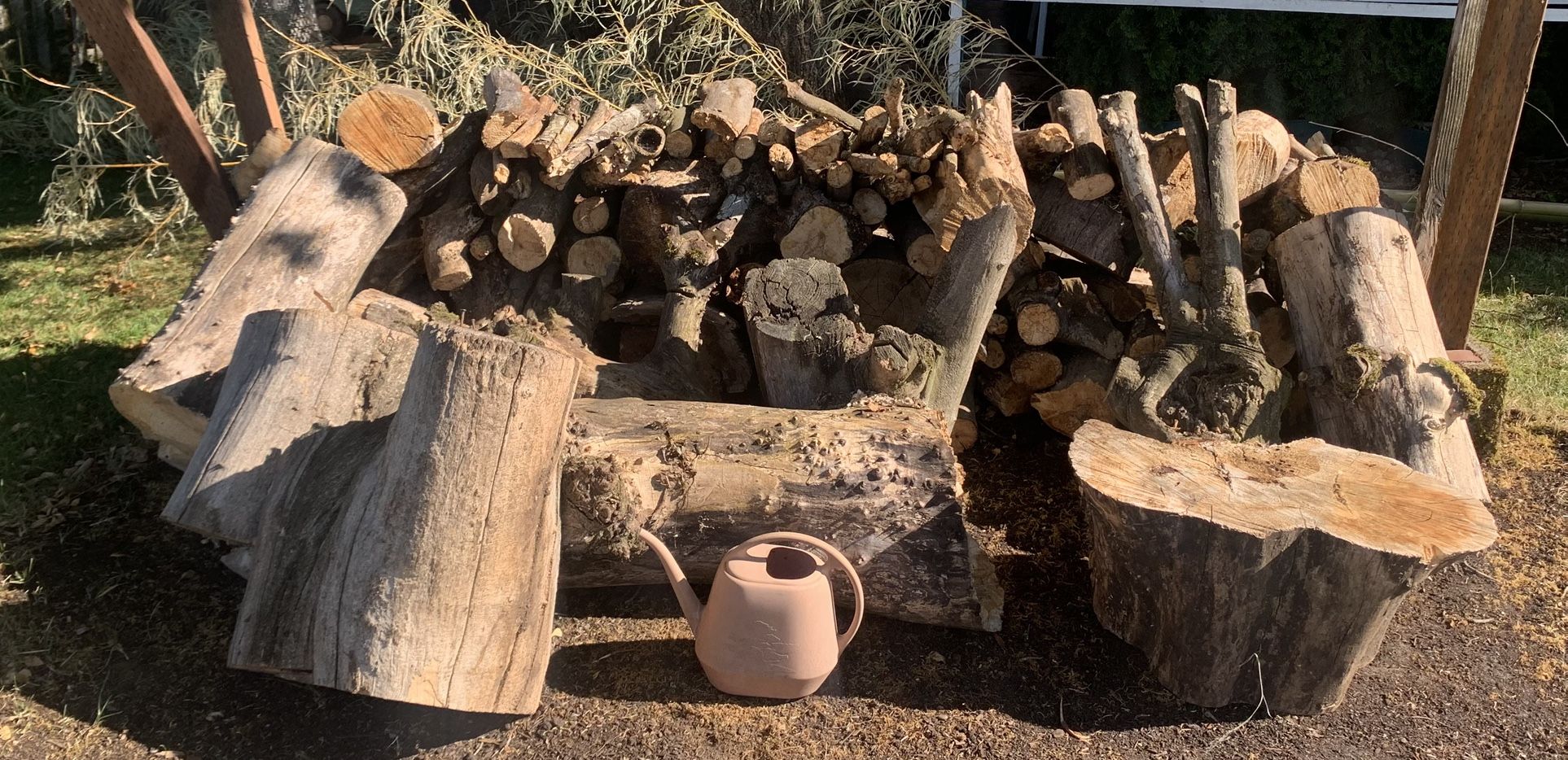 Free Wood