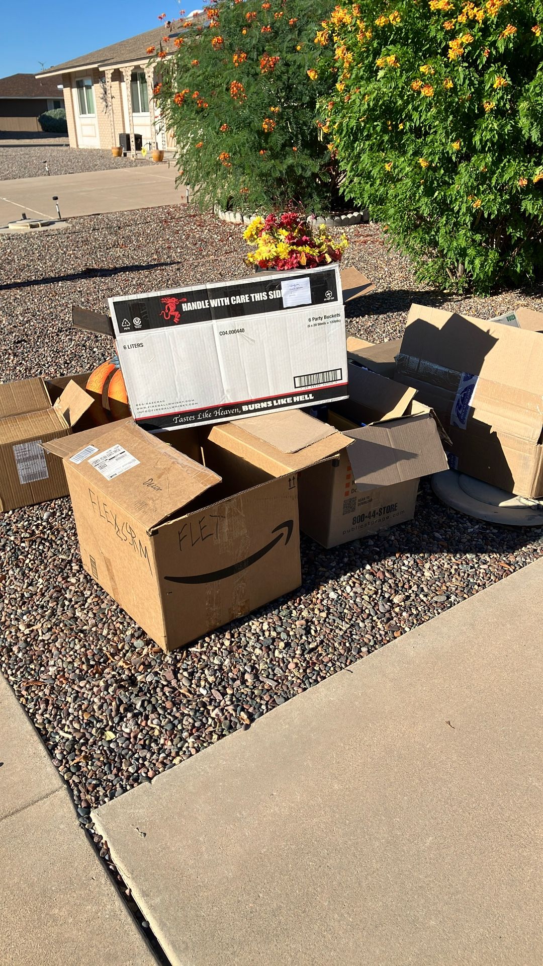 Free Moving Boxes