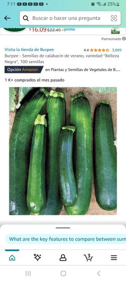 💚💚💚ZUCHINI CALABASITAS 💚💚💚