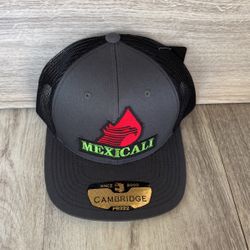 Snapback Hat$20