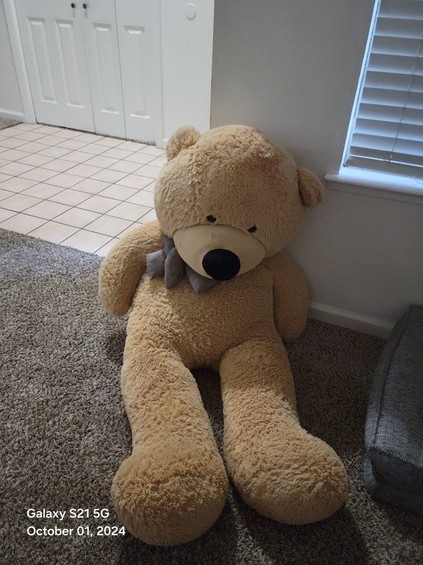 Big Big Teddy Bear 