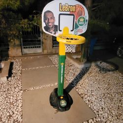 LeBron Basketball Court