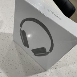 Air Pod Max 