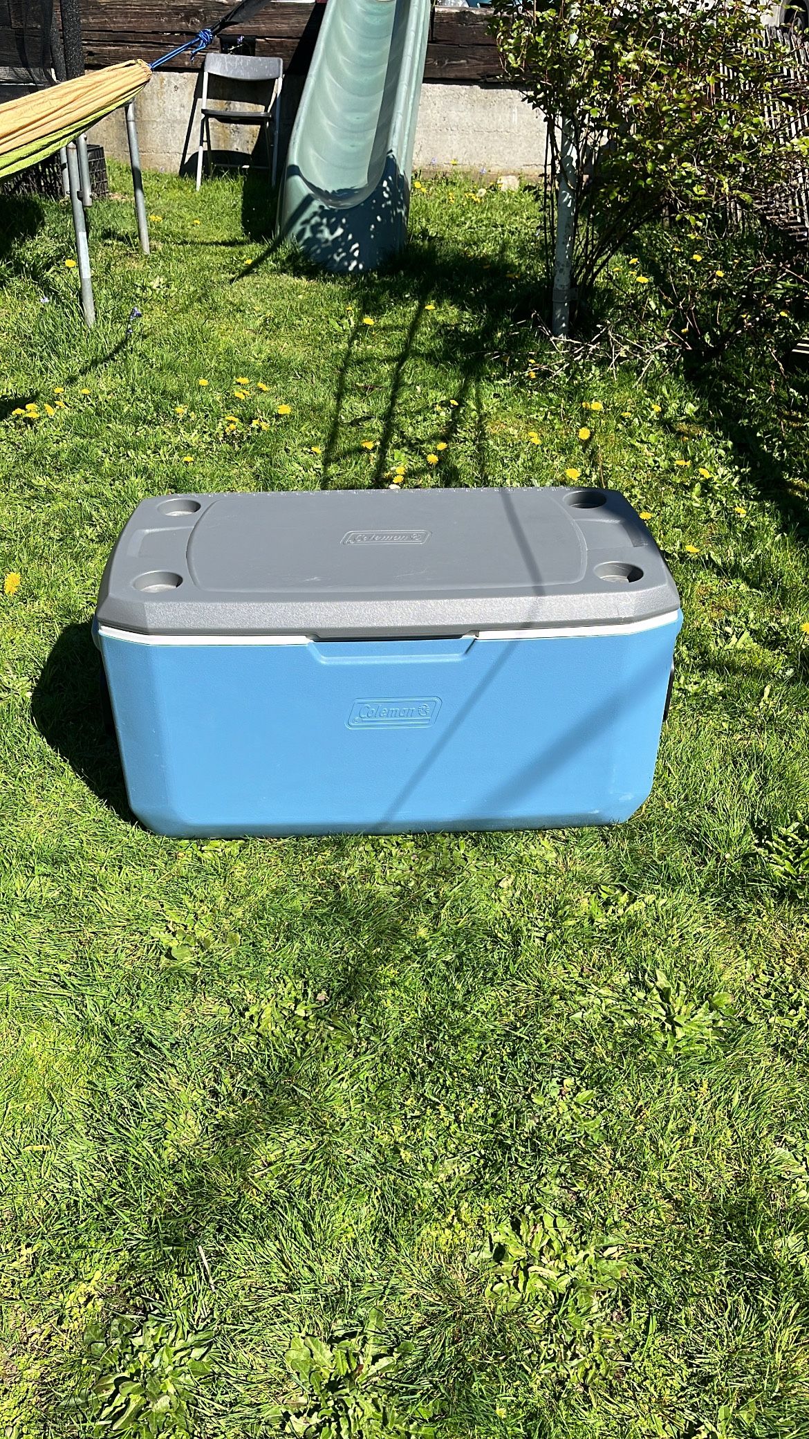 Coleman Cooler