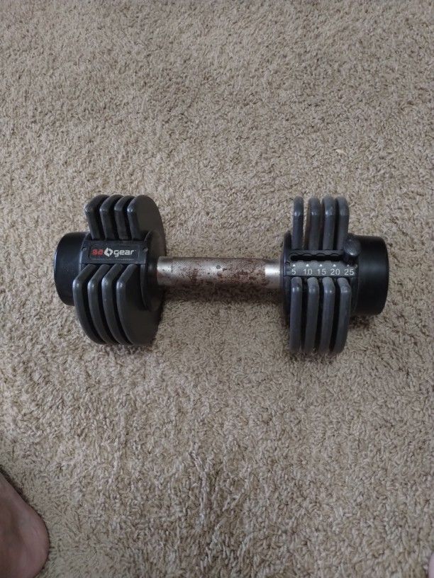 One 25lbs Dumbbell 