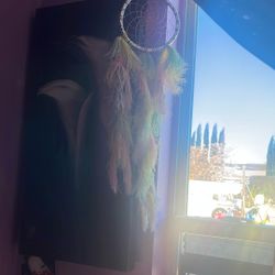 Hand Made Dream Catcher Rasta Theme 