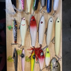 Topwater Lure Lot