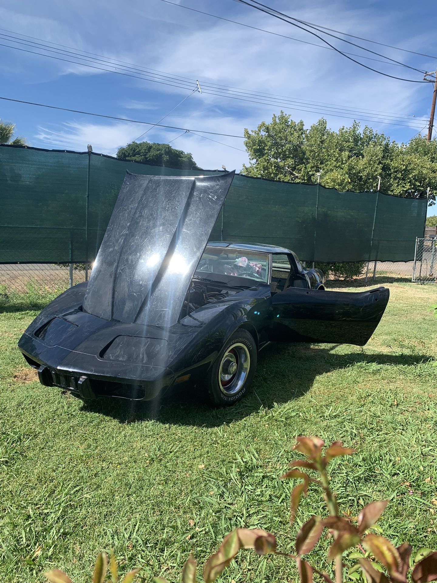 1979 C3 Corvette 