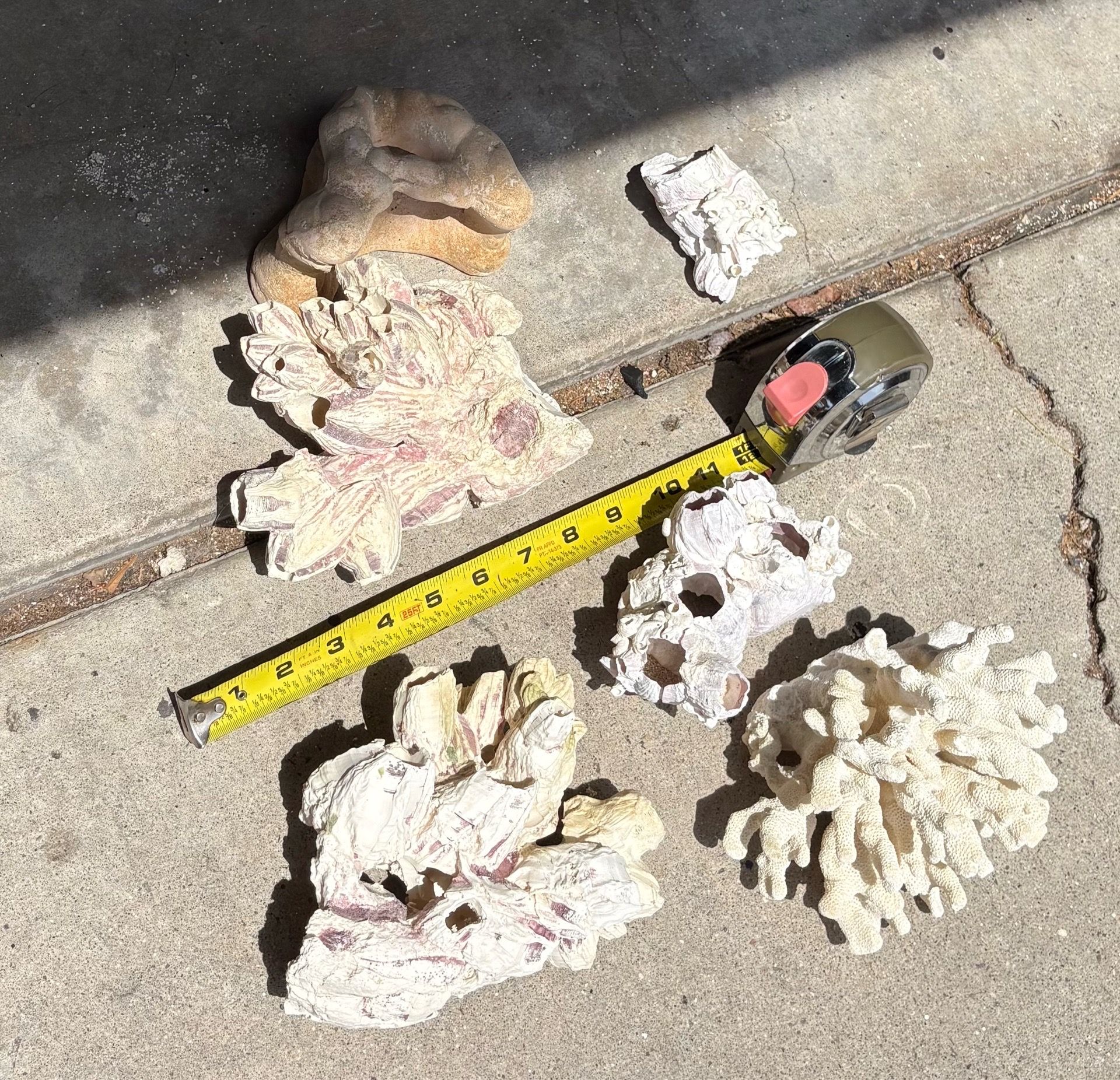 decorative fish tank- Barnacle Clusters -reef coral-seashells